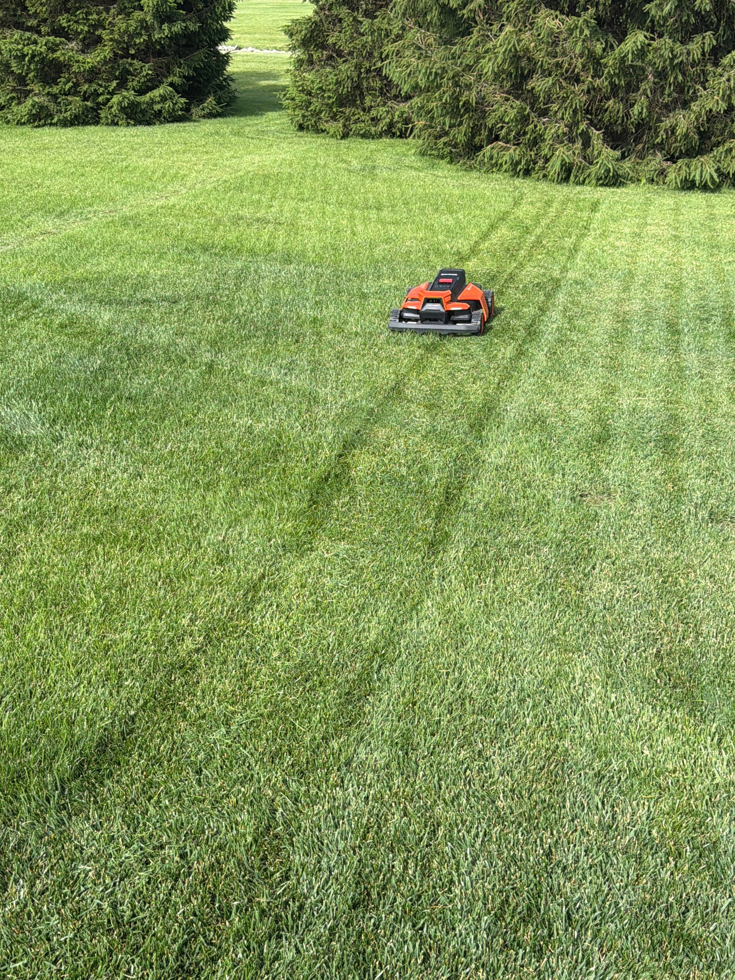 Pro Blades Plus: 30CT Titanium Coated Blades- Designed for Navimow Robotic Lawn Mowers