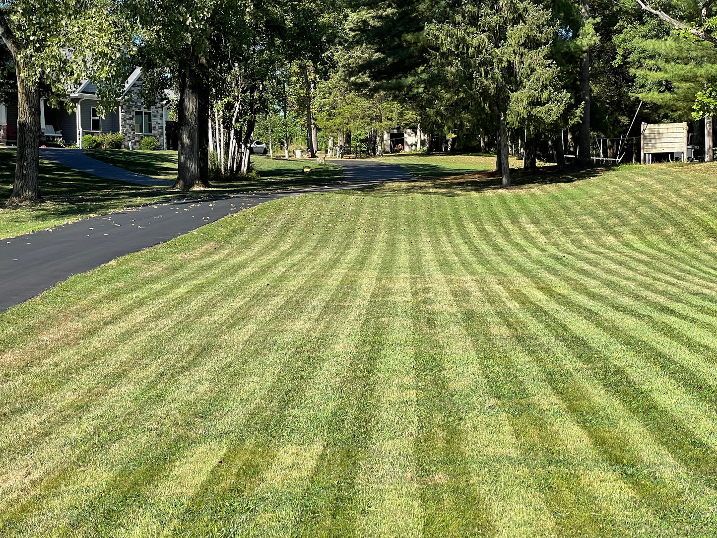 Pro Blades Plus: 36CT Titanium Coated Blades- Designed for Mammotion Robotic Lawn Mowers